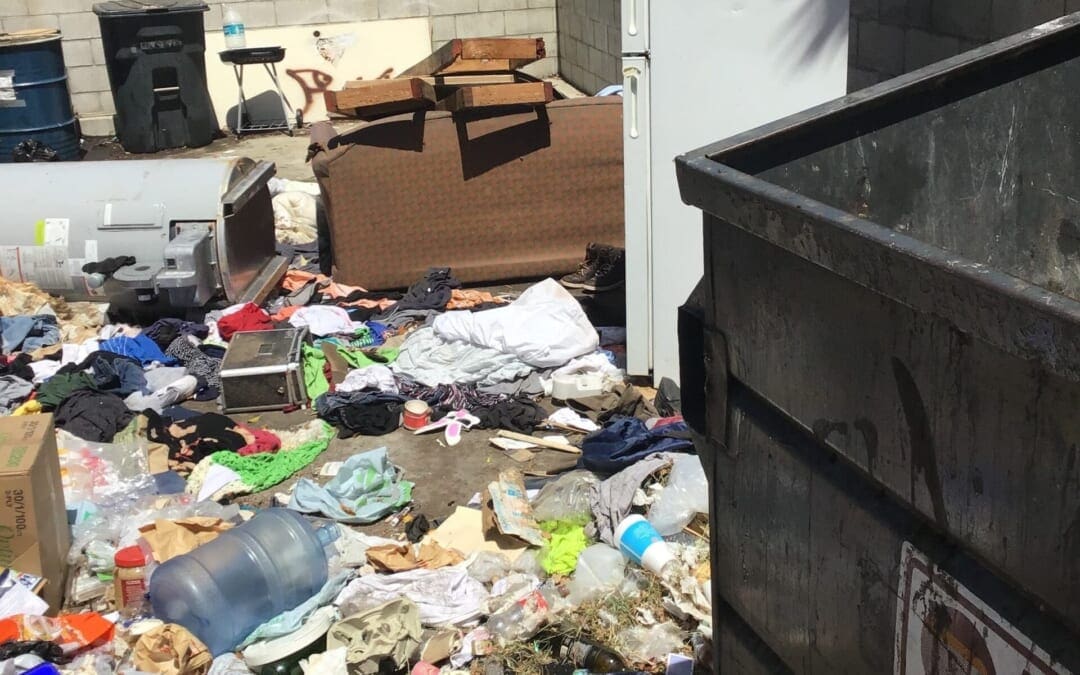 Hoarding and Public Safety I Serviam Law