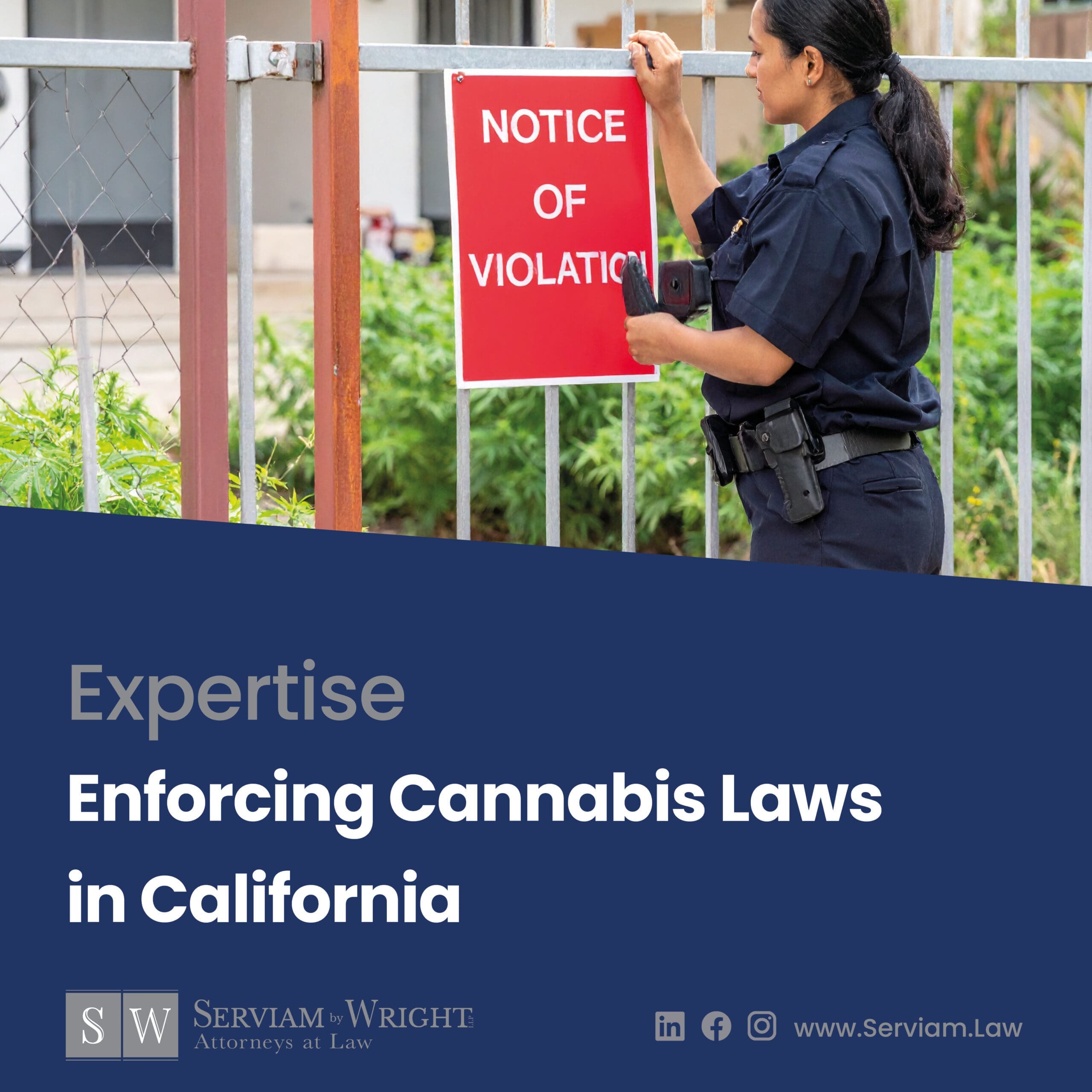 Enforcing Cannabis Laws in California: How Serviam Helps Public Agencies Protect Their Communities